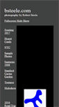 Mobile Screenshot of bsteele.com